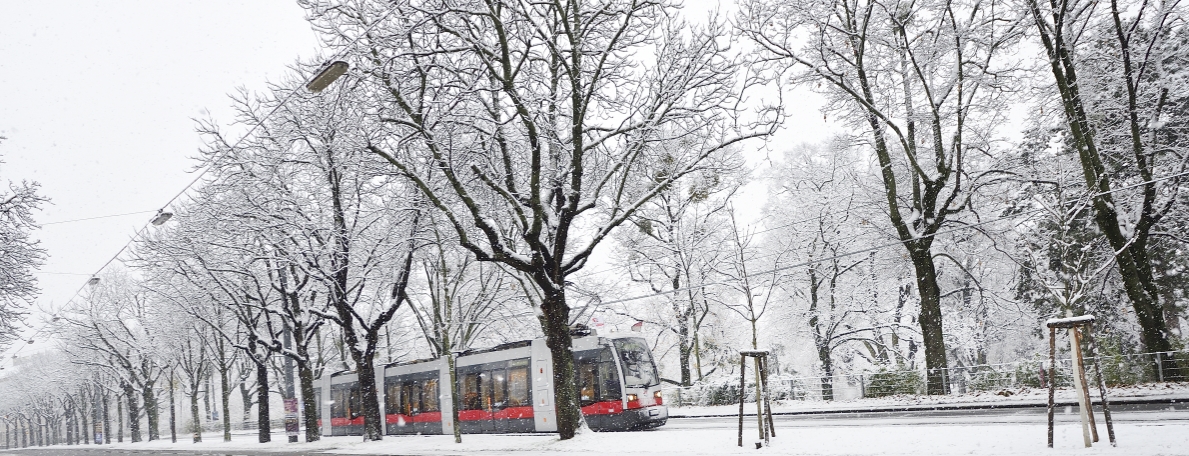 Gerade im Winter sind die Öffis DAS sichere und verlässliche Verkehrsmittel in Wien.