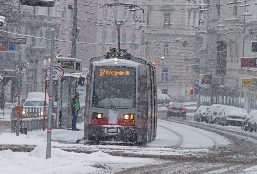 Linie 37  in der Station Spitalgasse/Währingerstraße  Fahrtrichtung Schottentor