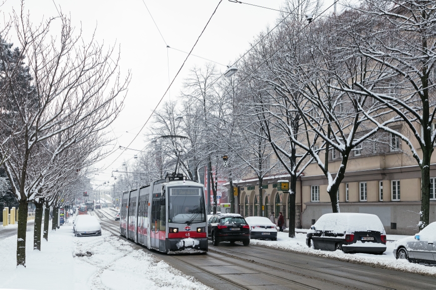 Linie 44 Sandleitengasse Fahrtrichtung Dornbach