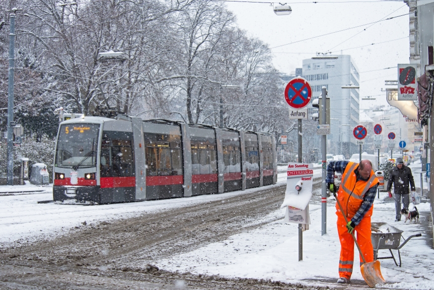 Linie 5  in der Haltestelle Spitalgasse/Währingerstraße