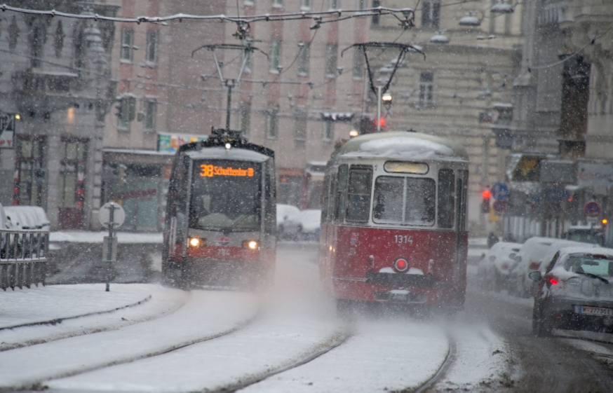 Linie 38 und Linie 5 in der Nußdorferstraße