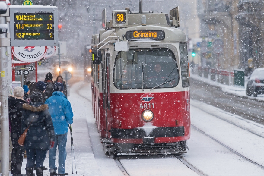 Linie 38 Haltestelle Spitalgass/Währingerstraße