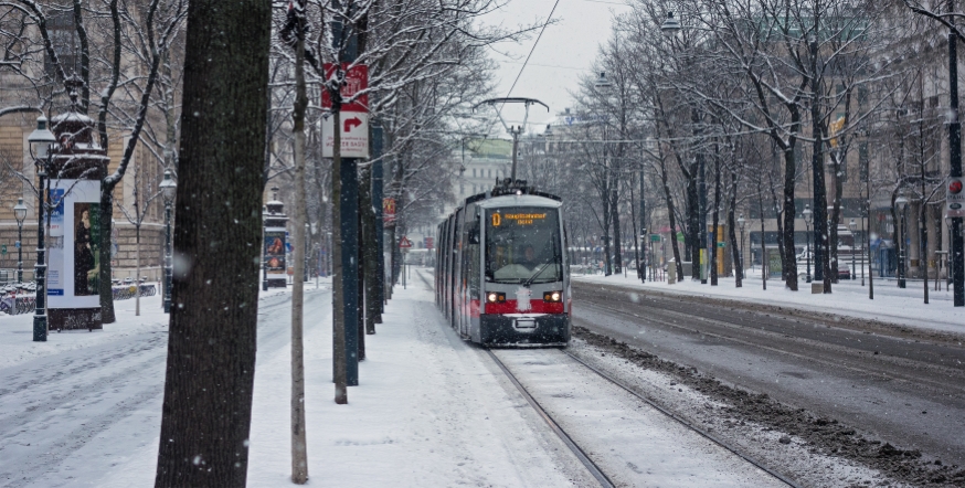 Linie D am Uni Ring Fahrtrichtung Hauptbahnhof