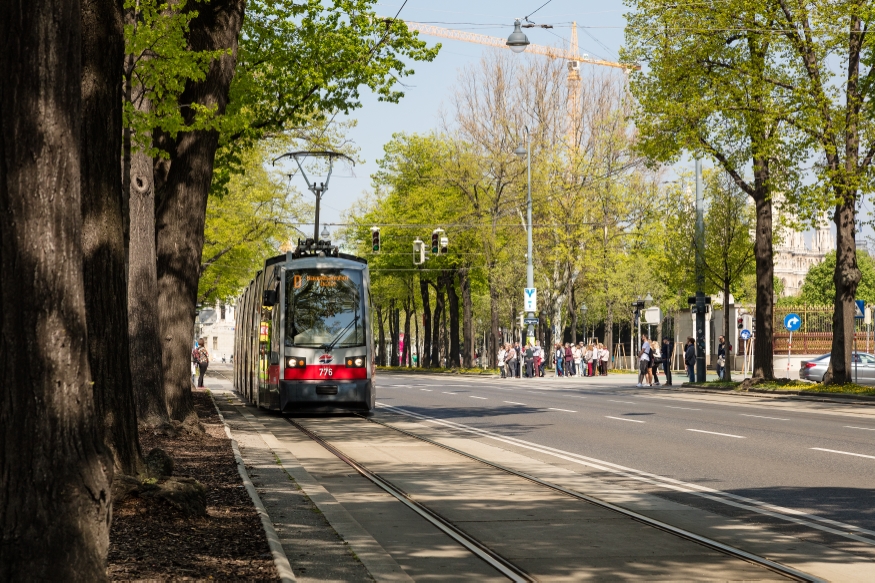 Linie D Burgring Fahrtrichtung Hauptbahnhof