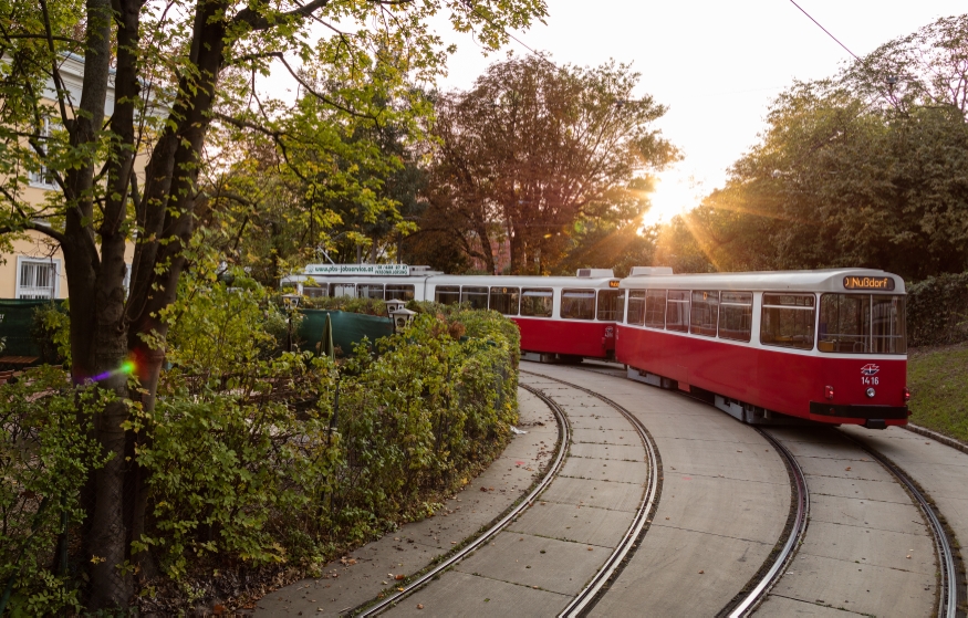 Linie D Endstelle Nußdorf