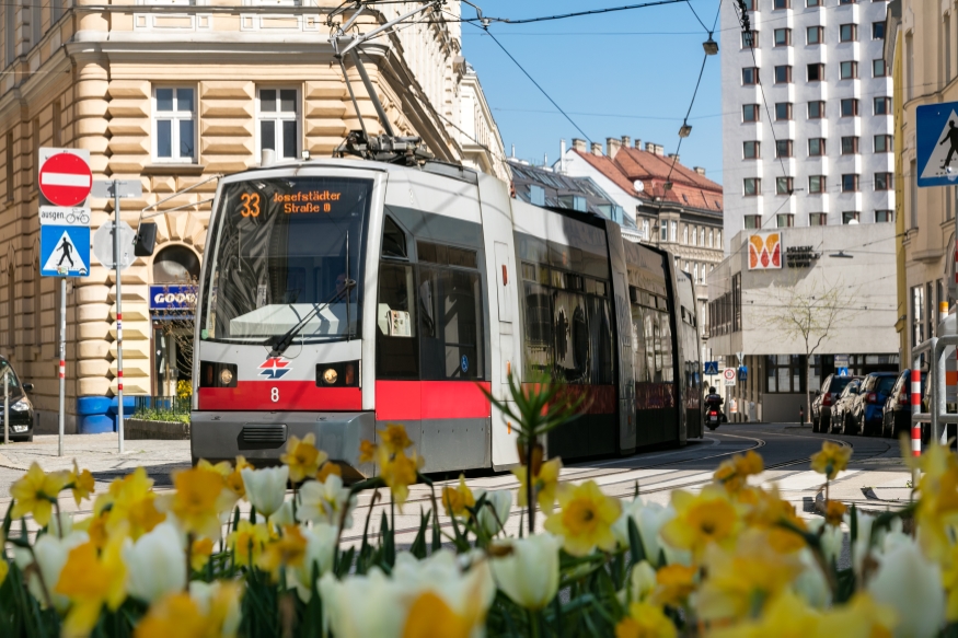 Linie 33 bei der Station Florianigasse Fahrtrichtung Josefstädterstraße