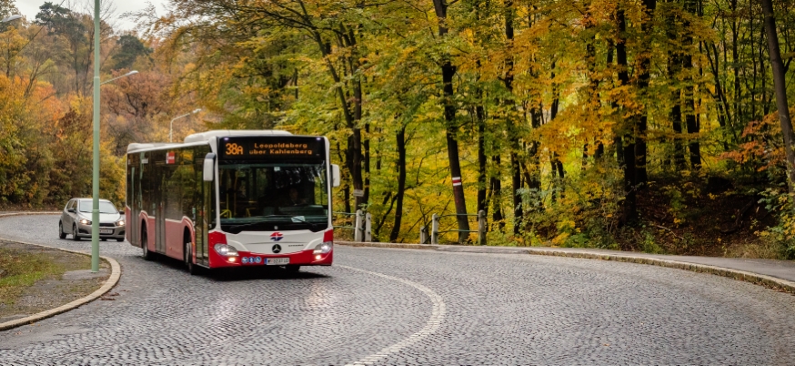 Buslinie 38A Höhenstraße Fahrtrichtung Leopoldsberg