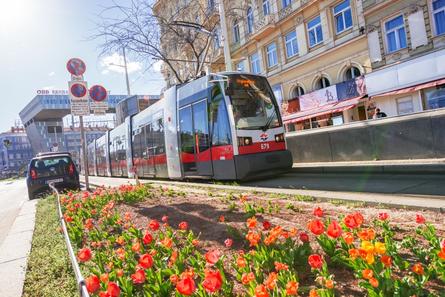 Linie 5 Mariahilferstraße