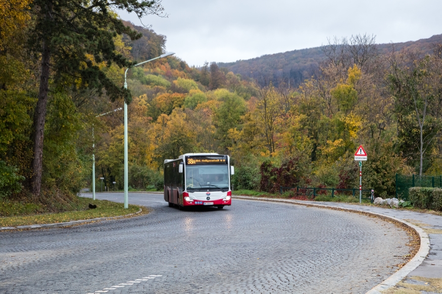 Buslinie 38A Höhenstraße kurz vor dem Cobenzl