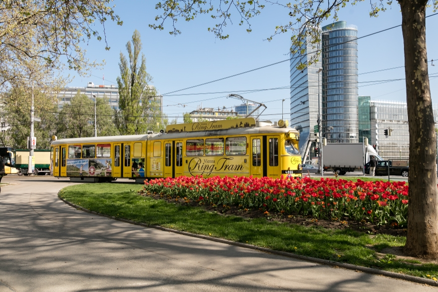 Vienna RingTram am Julius Raab Platz