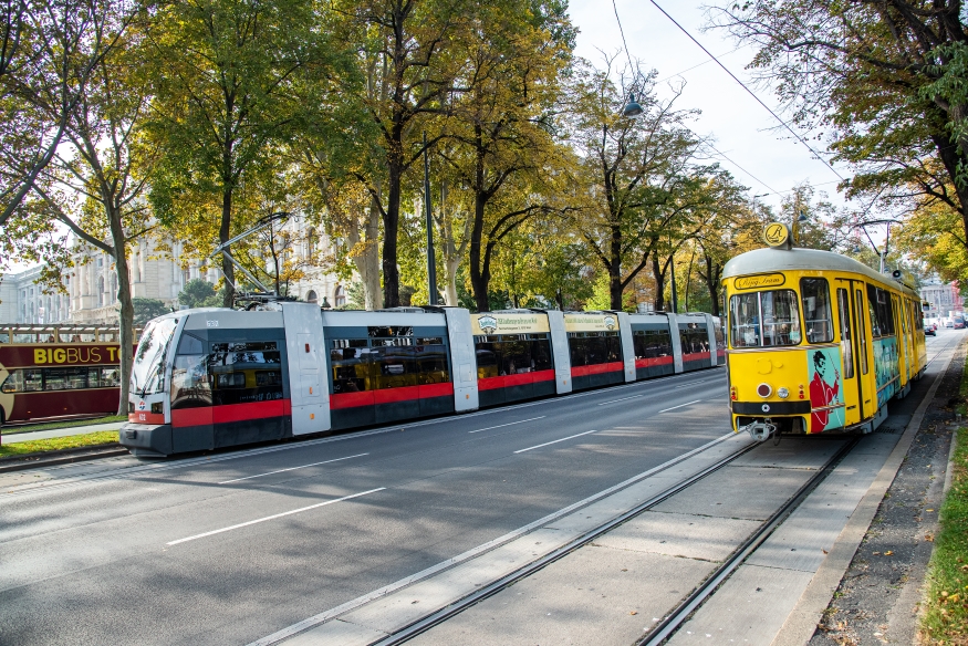 Linie 1 Burgring Fahrtrichtung Friedrich Engels Platz