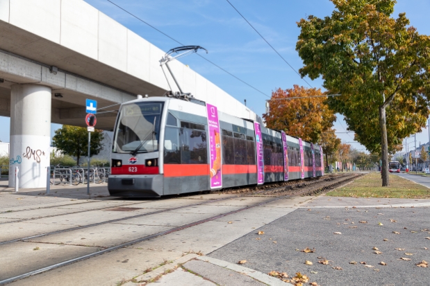 Linie 25  Langobardenstraße kurz vor dem Donauspital