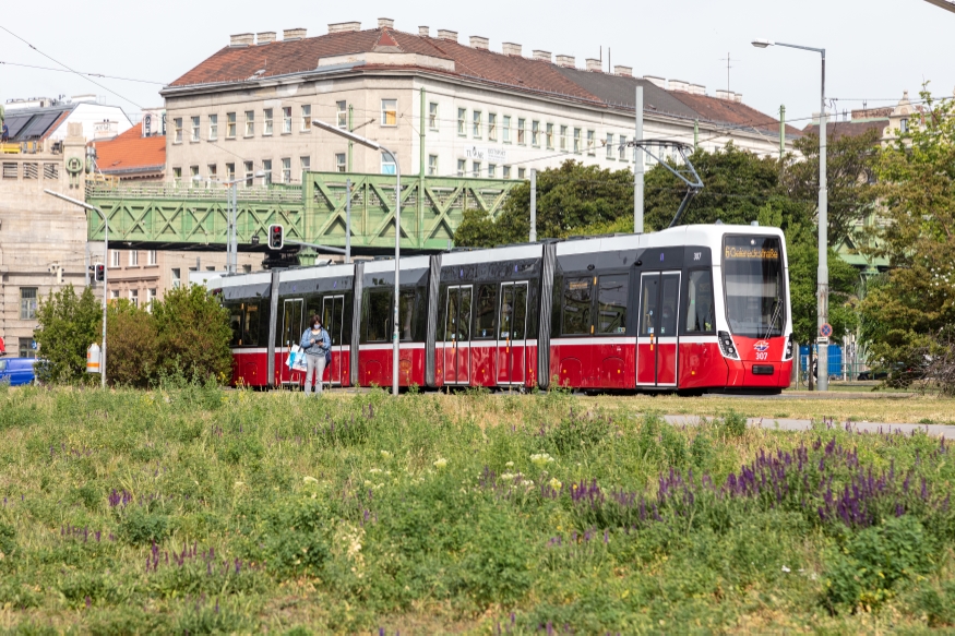 Straßenbahn der Linie 6 in Fahrtrichtung Simmering