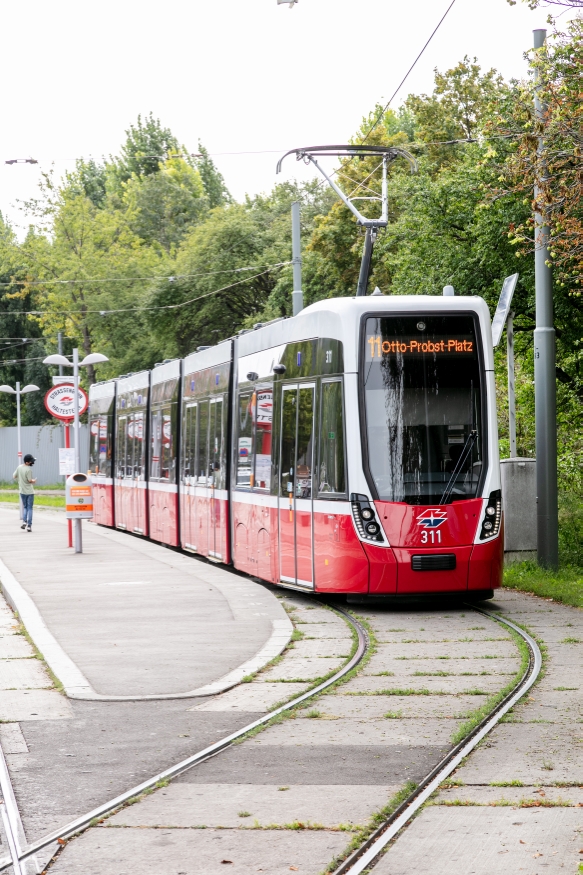 Linie 11 in Fahrtrichtung Otto-Probst-Platz