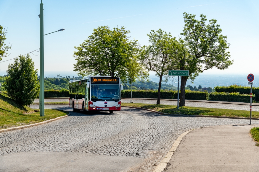Autobus Linie 38A am Cobenzl unterwegs