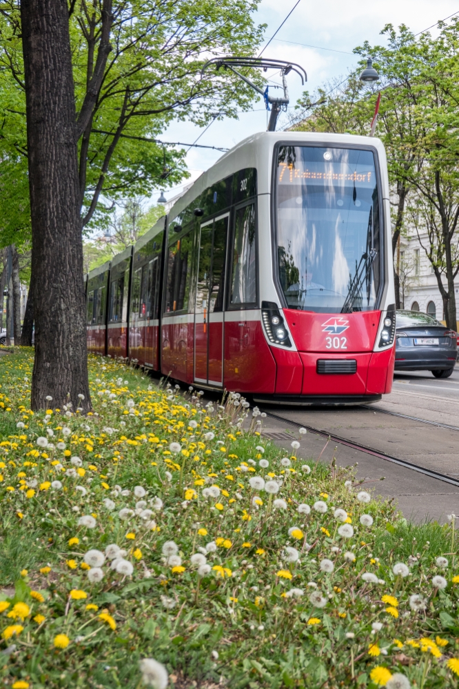 Auf der Linie 71 fahren jetzt Flexitys