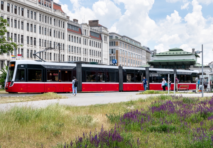 Linie 6 Fahrtrichtung Burggasse-Stadthalle