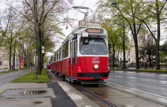 Linie D Type E2-c5 am Schottenring