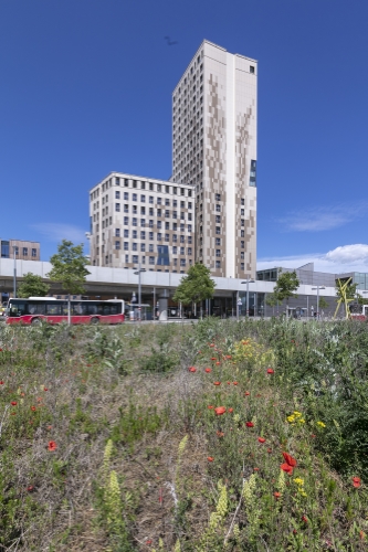 U2 Station Seestadt mit Autobus und Blumenwiese