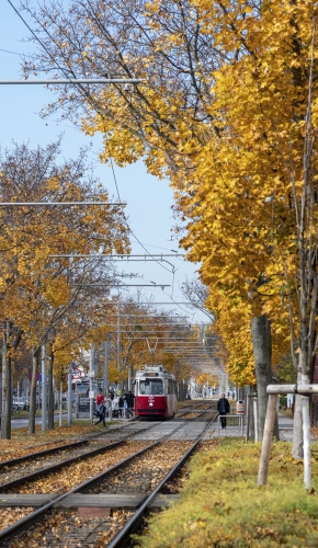 Type E2-c5 als Linie 25 in Aspern unterwegs