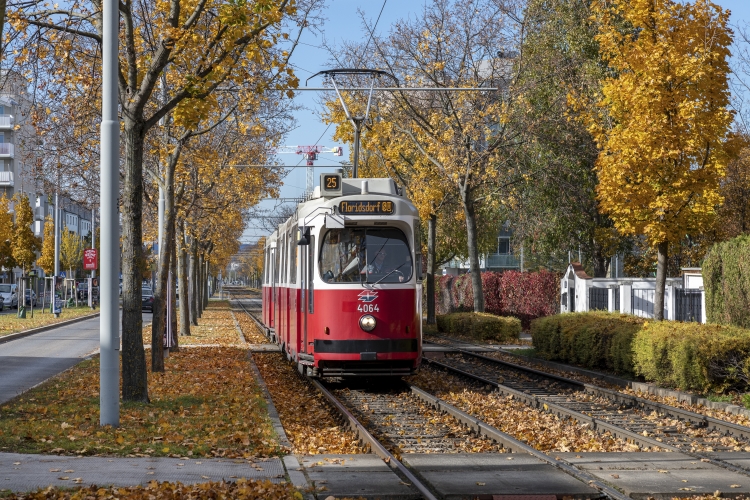 Type E2-c5 als Linie 25 in Aspern unterwegs