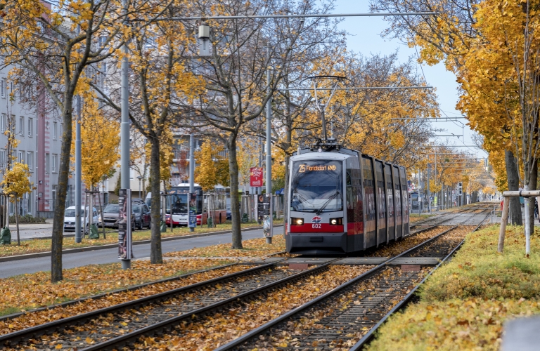 Ulf Type B als Linie 25 in Aspern unterwegs