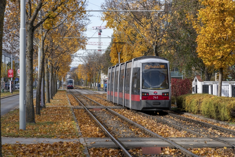 Ulf Type B als Linie 25 in Aspern unterwegs