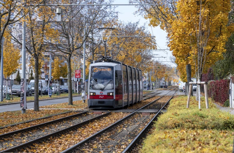 Ulf Type B als Linie 25 in Aspern unterwegs