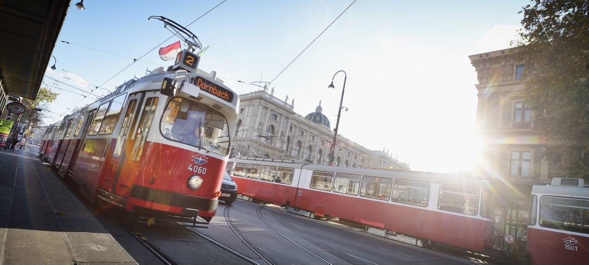 Straßenbahn der Linie 2 am Ring