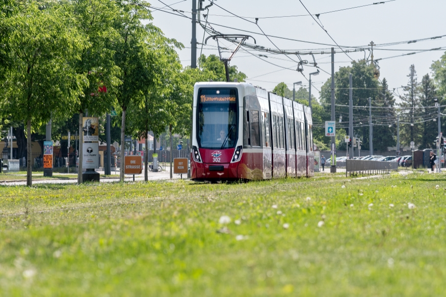 Flexity Linie 11 Fahrtrichtung Otto Probst Platz