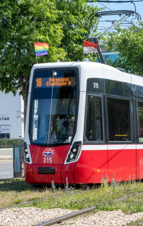 Die Linie 18 mit Regenbogenfahnen am Landstaßer Gürtel