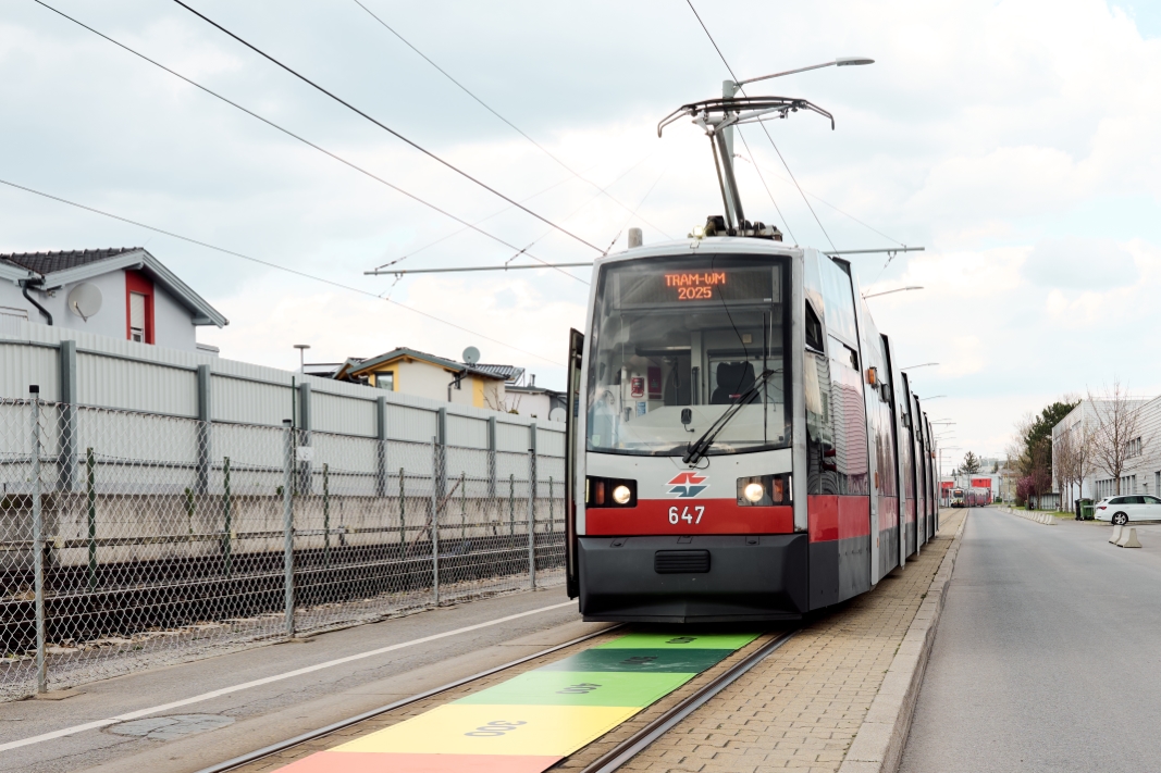 Tram WM Ausscheidung 2025