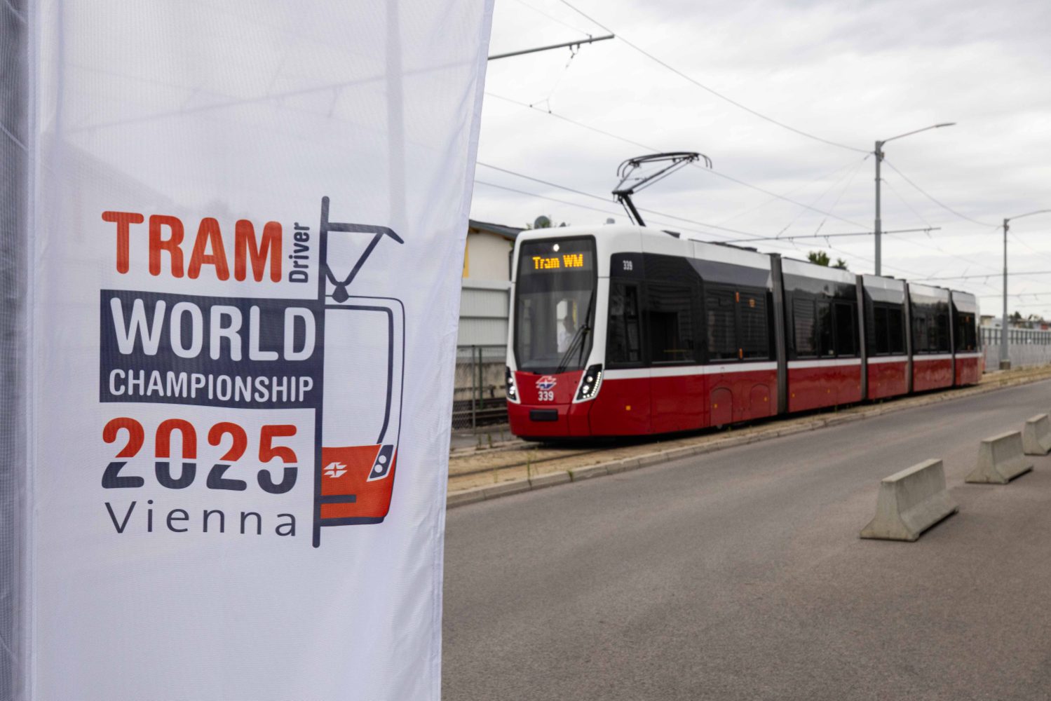 TRAM-WM Training